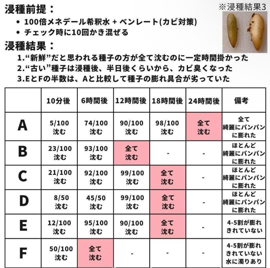 種子】パキポディウム グラキリス /セット割あり 数量5粒から購入OK - メルカリ