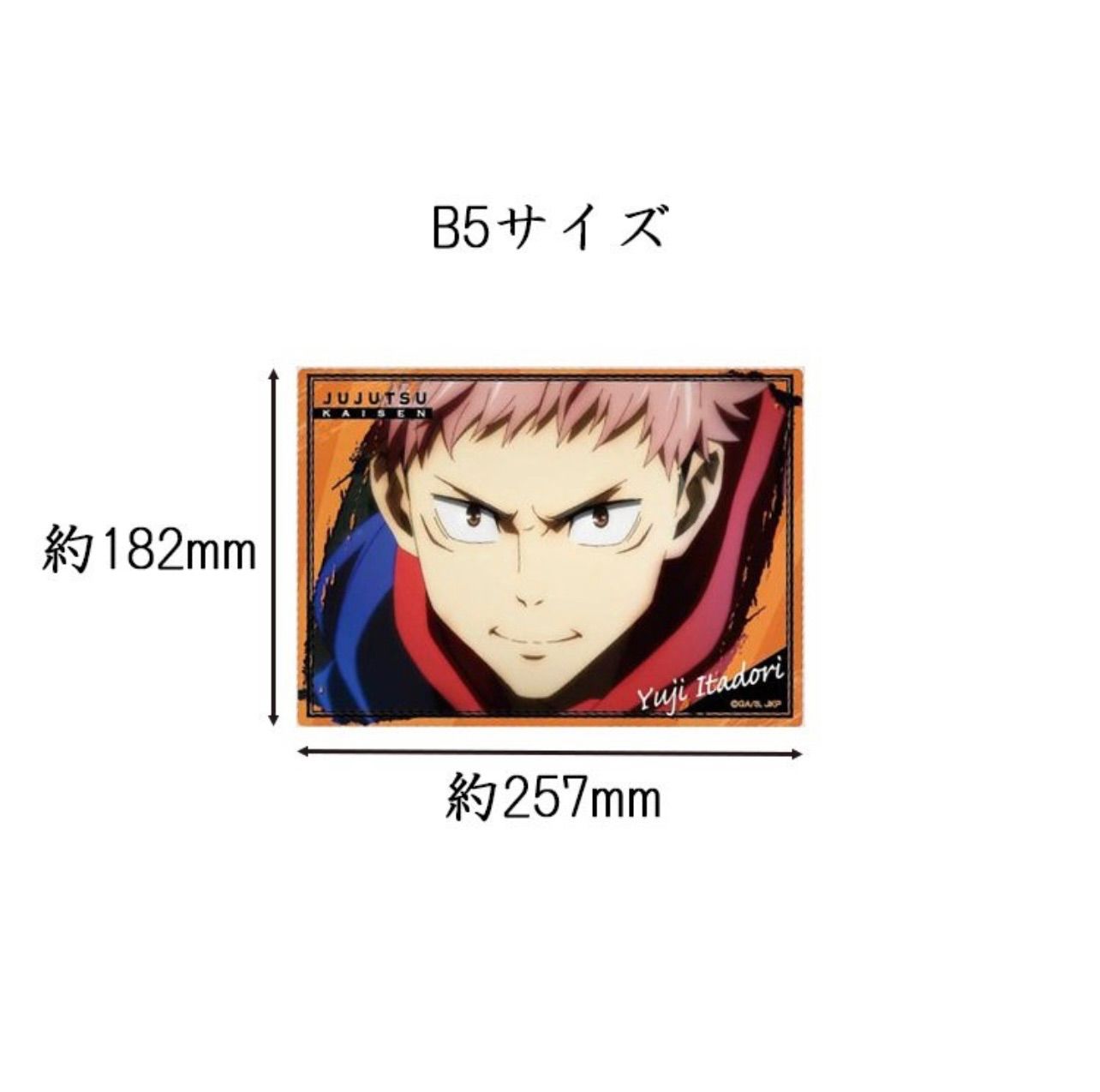 呪術廻戦 下敷きコレクション　全13種セット Amazon.co.jp: 呪術廻戦 下敷きコレクション H27cm : ホーム＆キッチン
