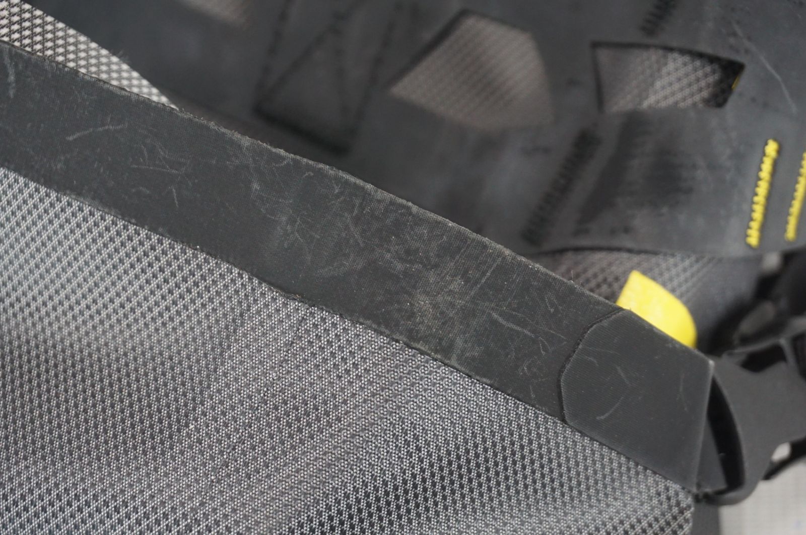 アピデュラ エクスペディション