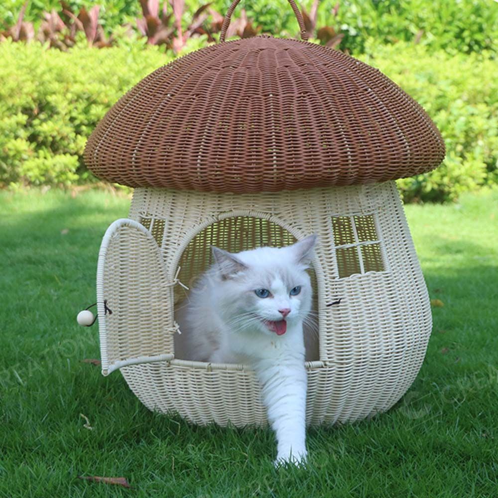 サイ
