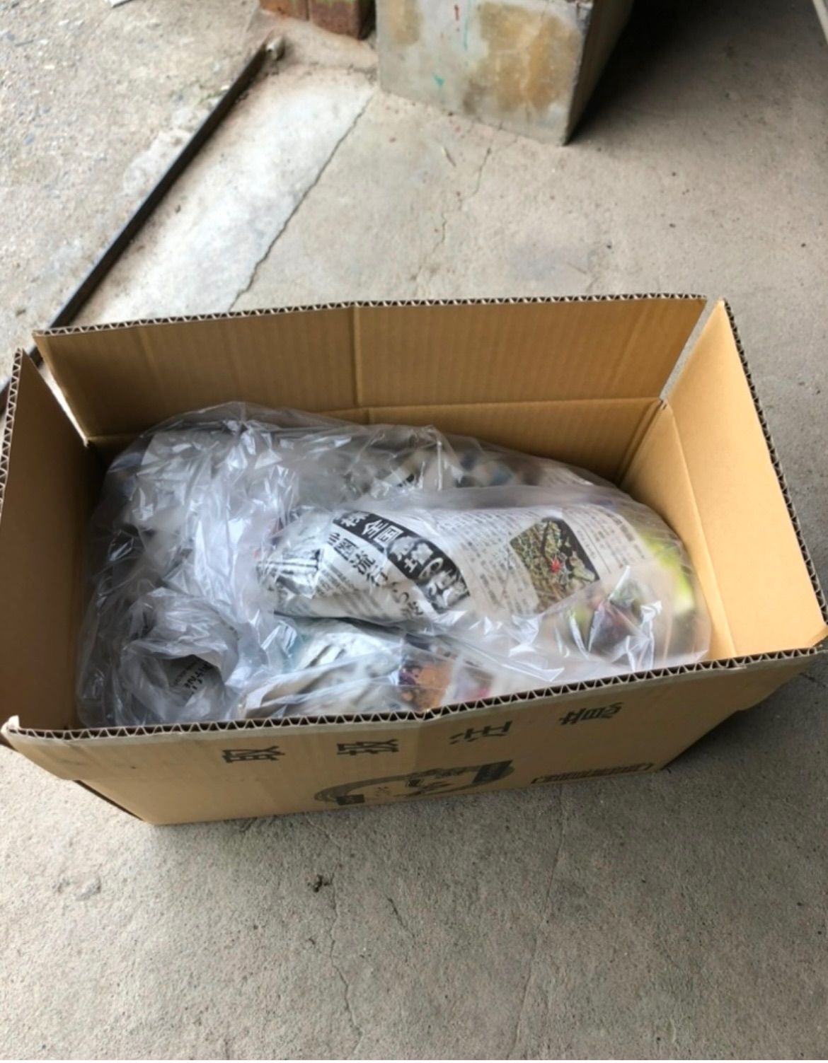たけのこ 約10kg7980円