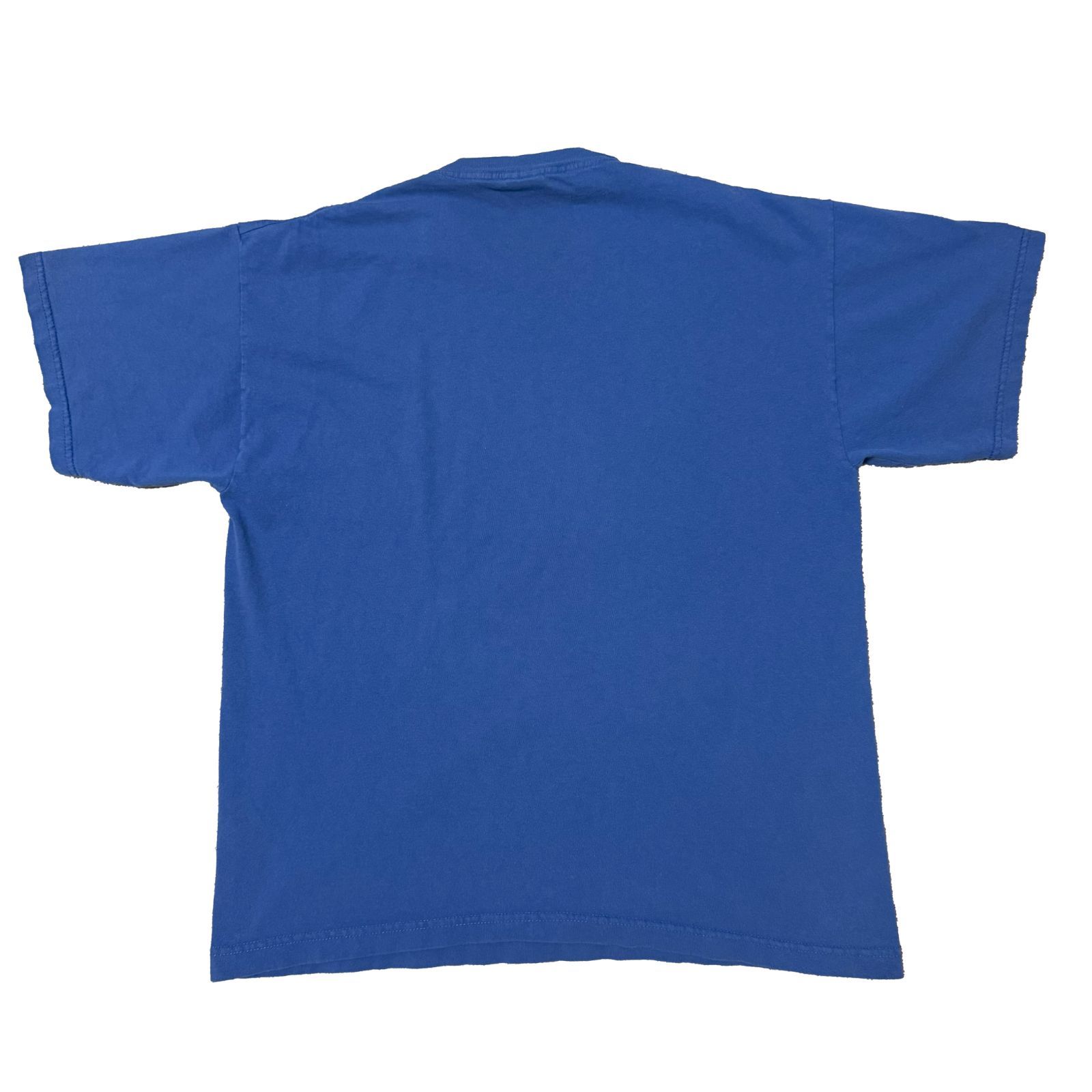 90s Tony Hawk tee トニーホーク POWELL PERALTA sk8 old skate