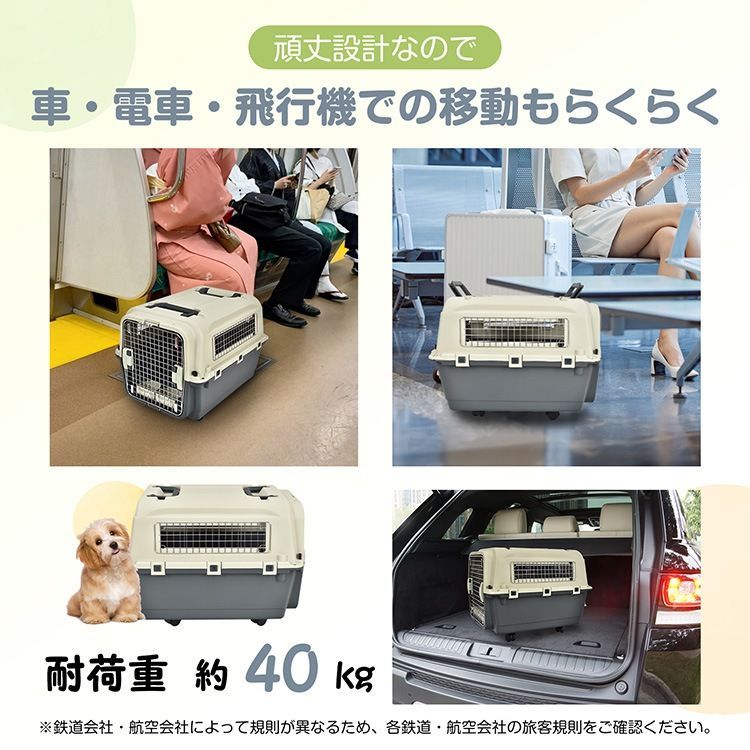 飛行機 空輸
