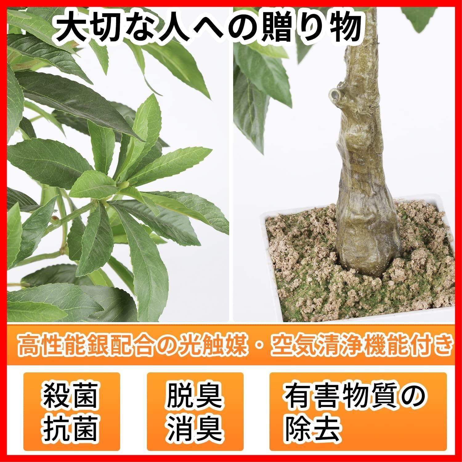 装飾