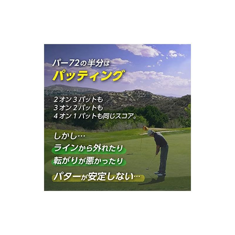 ダイヤゴルフ(DAIYA GOLF) パター練習器具 パットチェッカー とてつもなく 正しいパッティング