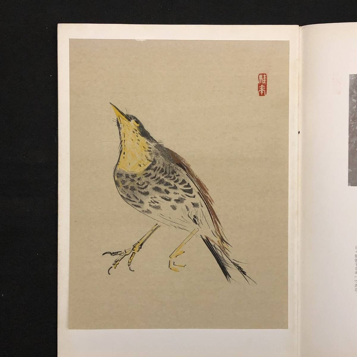 【版画入】金島桂華「現代作家デッサン」昭和33年 芸艸堂 附録リトグラフ入 ☆洋画 油絵 画集 作品集 素描集 14いy