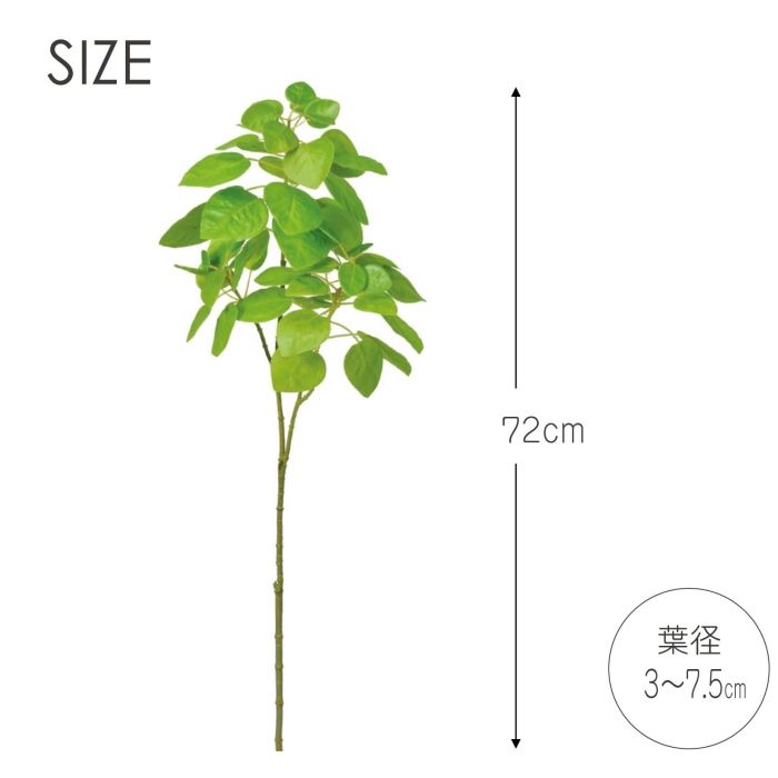 グリーン