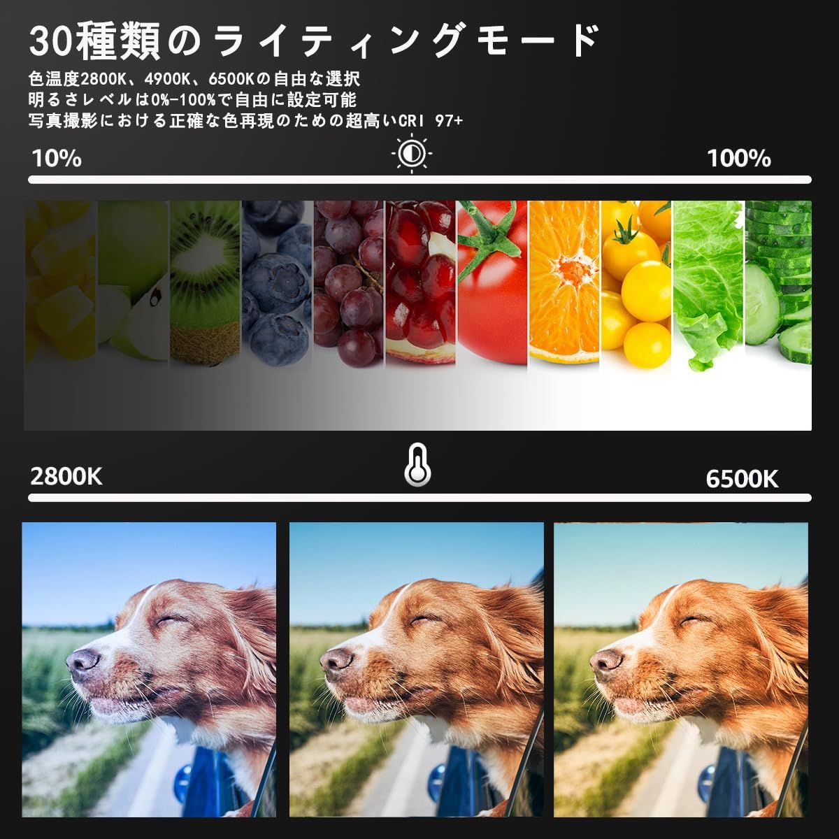 2800-6500K三色調光 な照明撮影ライトキット