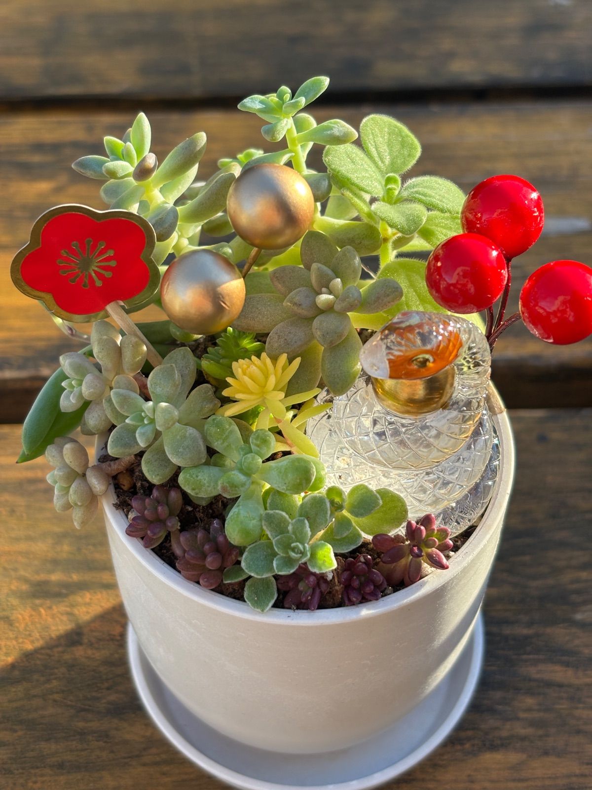 多肉植物＊2025年干支巳年（へび年）＊お正月＊寄せ植え＊そのまま 