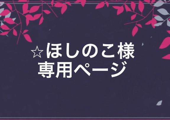 ホイップデコ トレカケース ☆ほしのこ様専用 - メルカリ