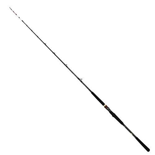 DAIWA（釣り） ダイワ(DAIWA) 19 ラテオ R 96ML・R : DN-eshop - 通販
