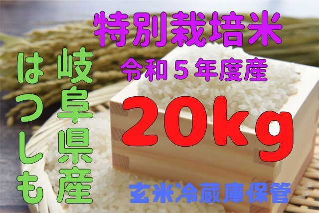 岐阜県特産はつしも白米20kg（特別栽培米）令和5年度産（農家直販