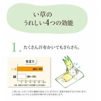 い草ごろ寝マット ノア40