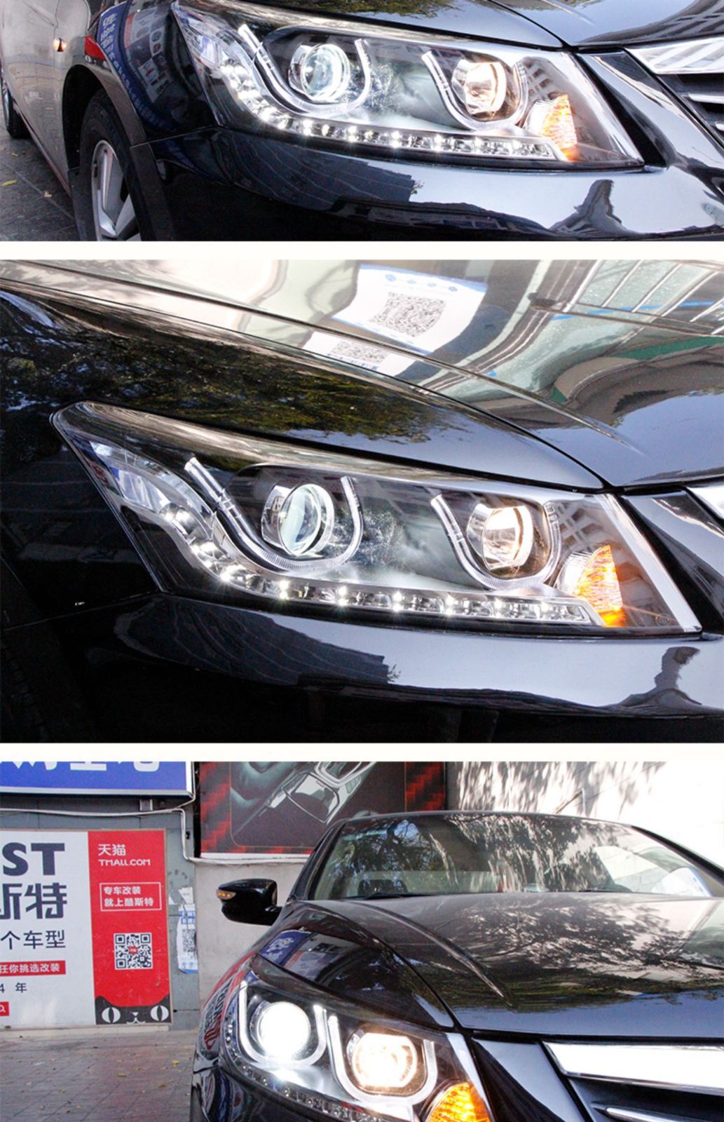 ZYP37注目シリーズ