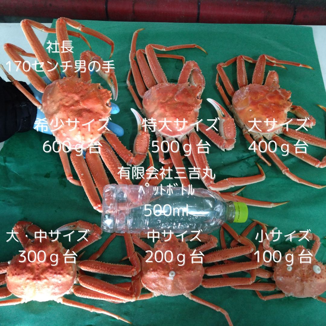 冷凍品