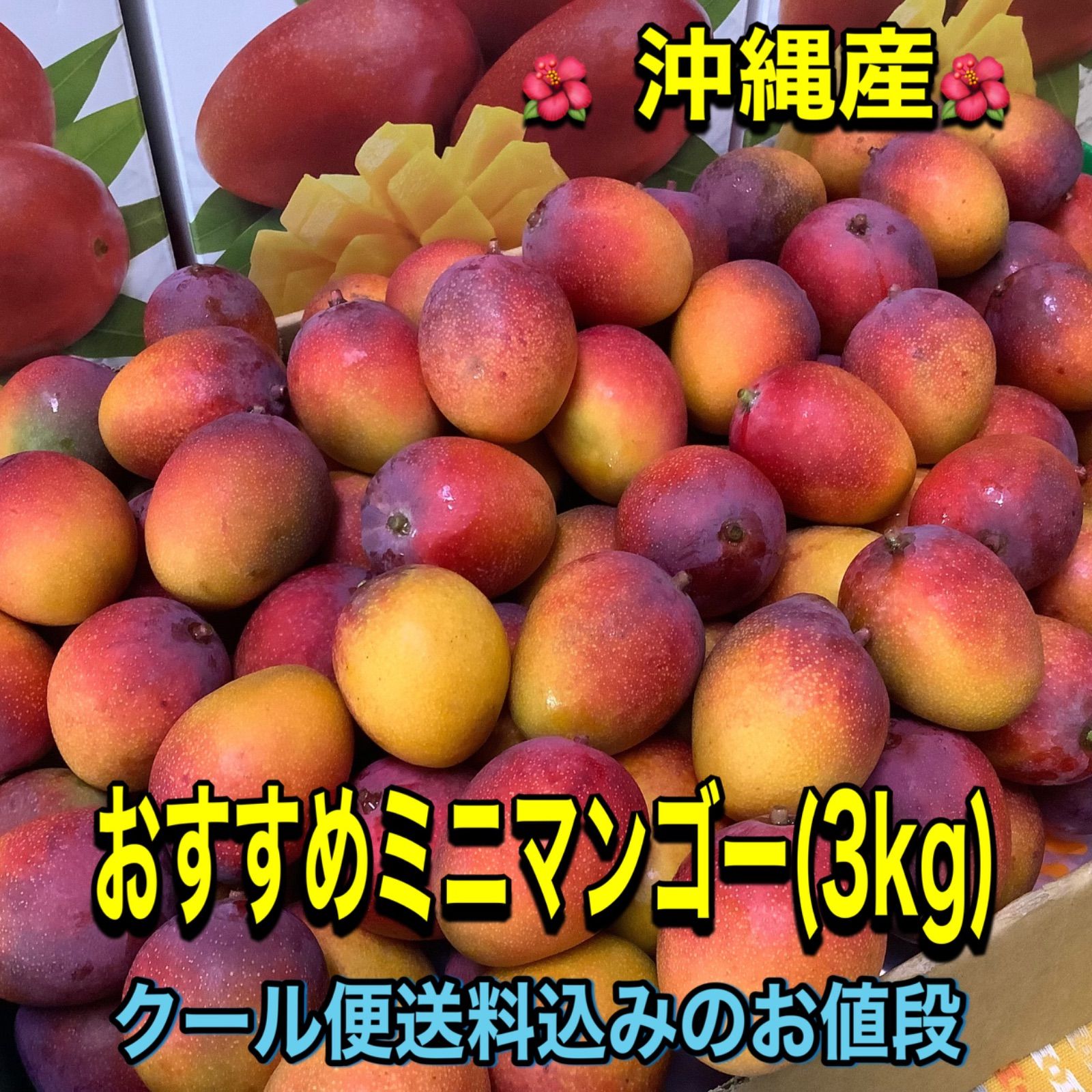 沖縄県産ミニマンゴー3kg 沖縄産マンゴーミニマンゴー アーウィン種 アップルマンゴー3kg