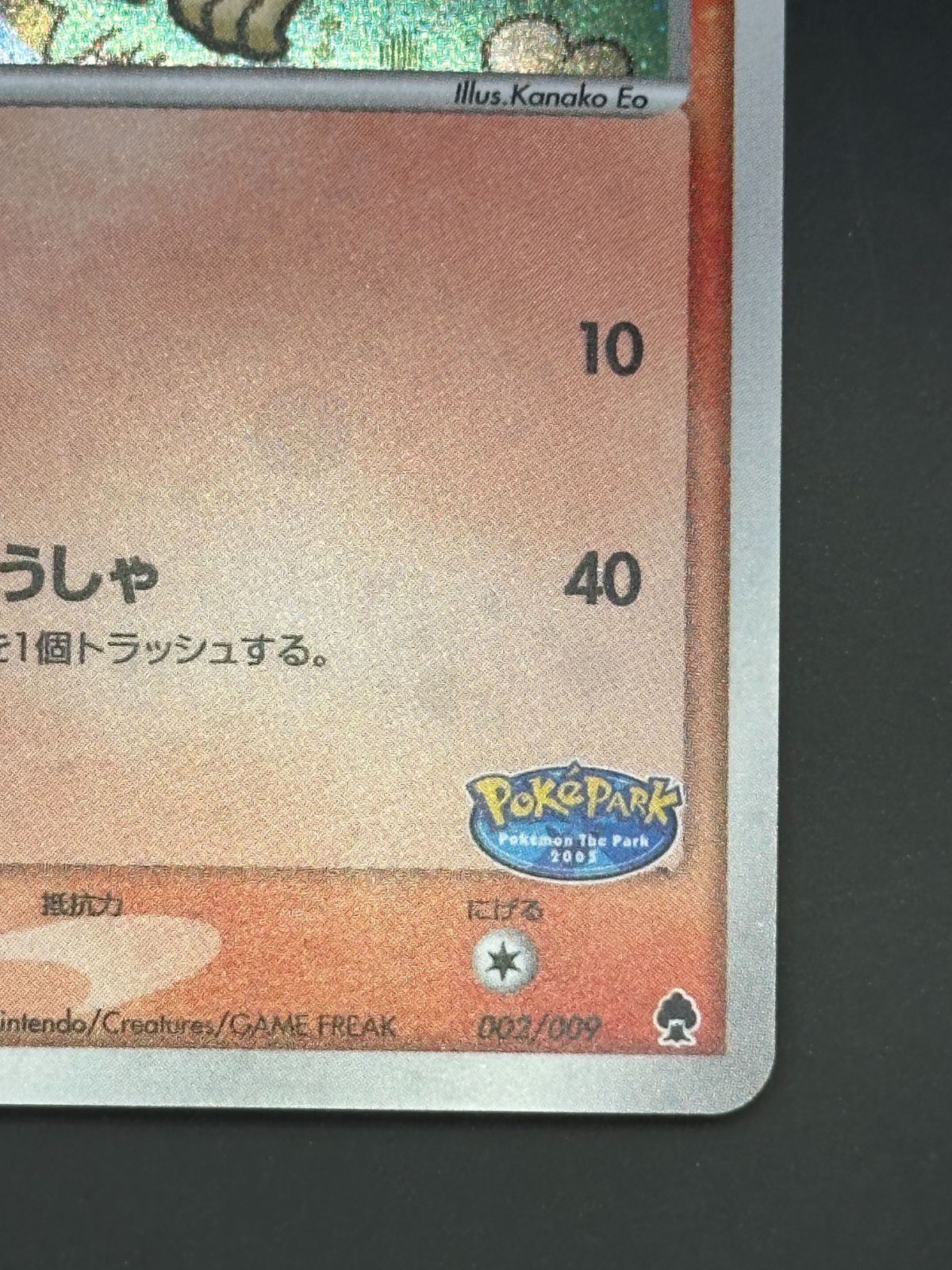 ポケパークのアチャモ 002/009（津田沼店在庫） - メルカリ