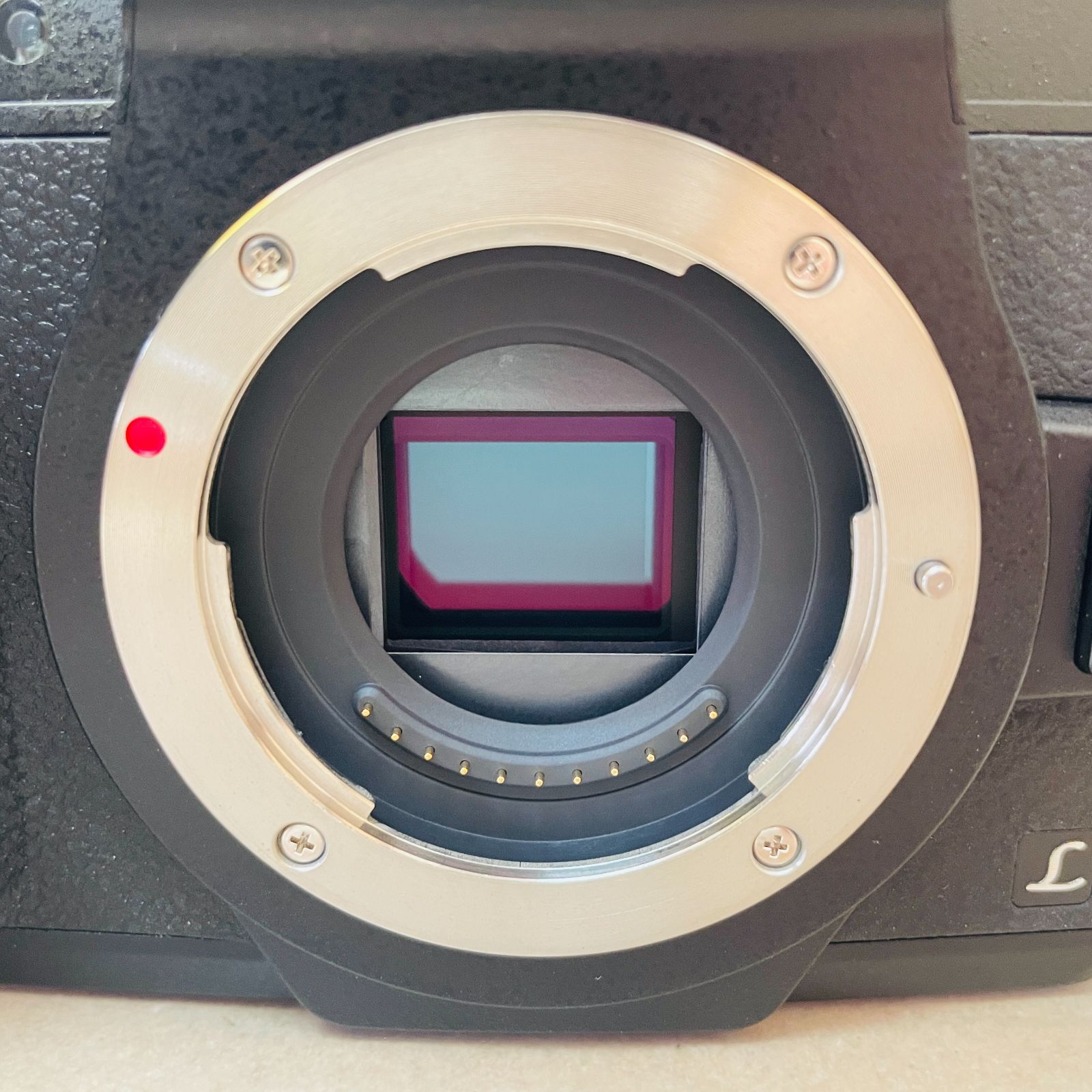 LUMIX Gシリーズ 【全額返金保証】並品｜パナソニック DMC-G8