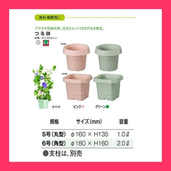 まとめ買い 100個入 プラ鉢 6号 ホワイト 大和プラスチック φ190×H144 土容量1.6L 鉢 送料無料 まとめ買い 100個入 プラ鉢 6号 ブラウン 大和プラスチック φ190×H144