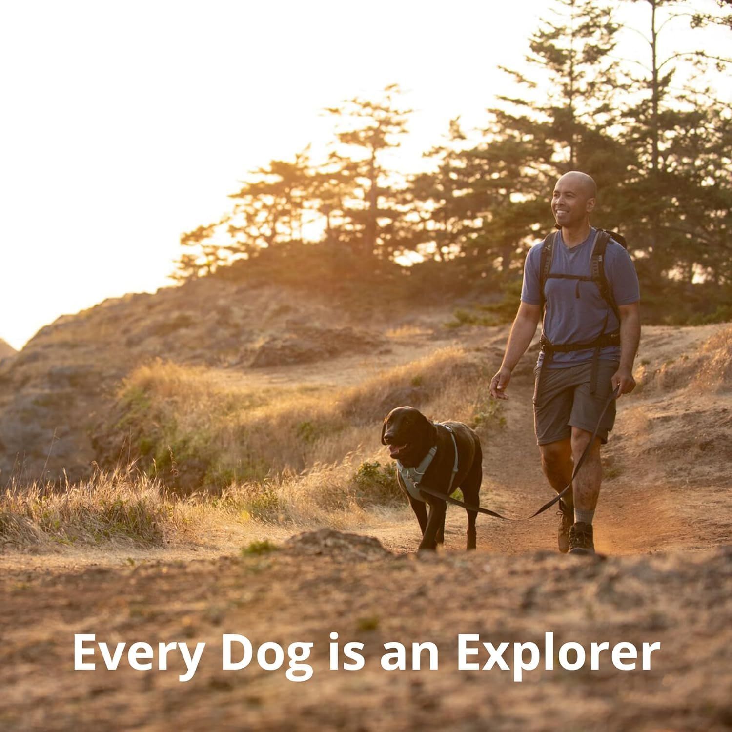 期間限定セール。 RUFFWEAR ラフウェア 公式 フロントレンジハーネス ムーンライトマウンテン XXS