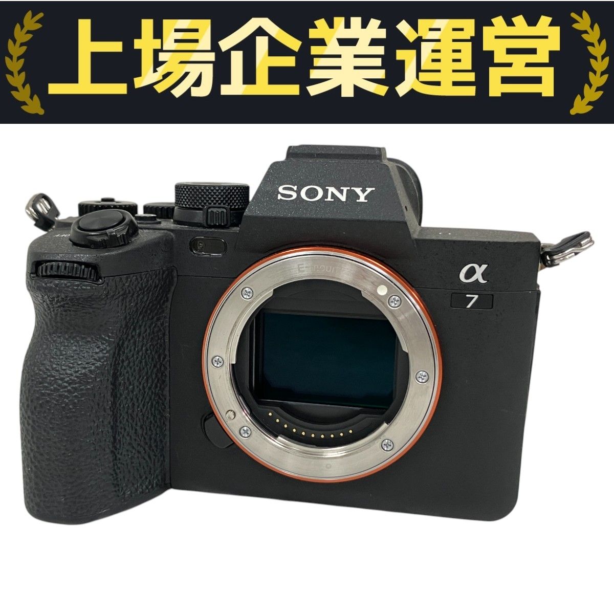 SONY ILCE-3000 α3000 ミラーレス一眼 海外モデル USED品 中古】SONY ソニー α3000 ILCE-3000 ブラック 海外版 ミラーレス一眼