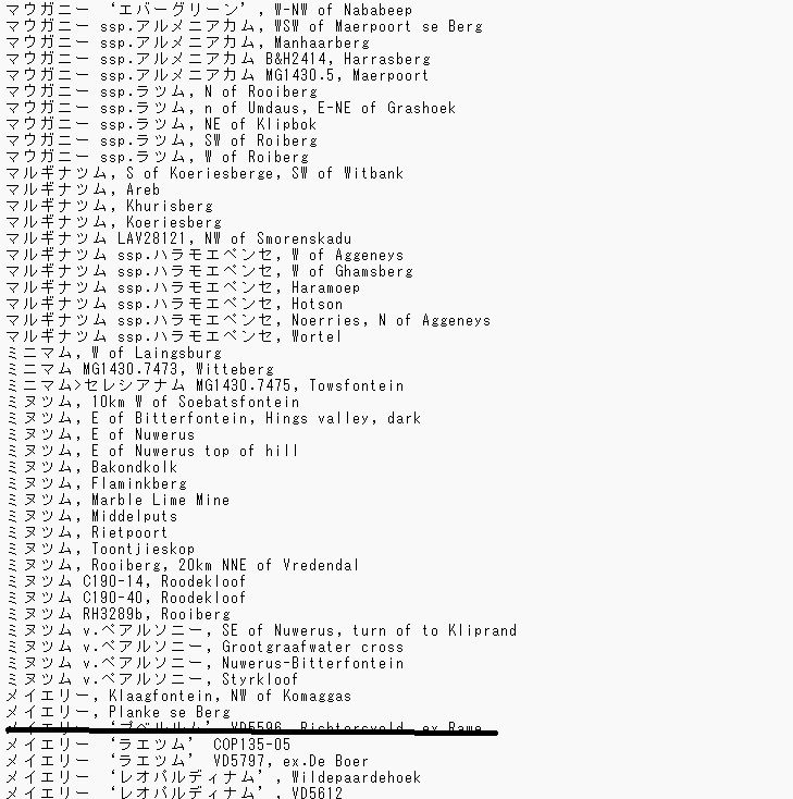 コノフィツム種子