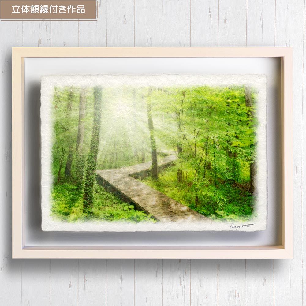 和紙の絵写真 「朝日の新緑の木道」 立体額縁付き 53x38cm 絵画 インテリア