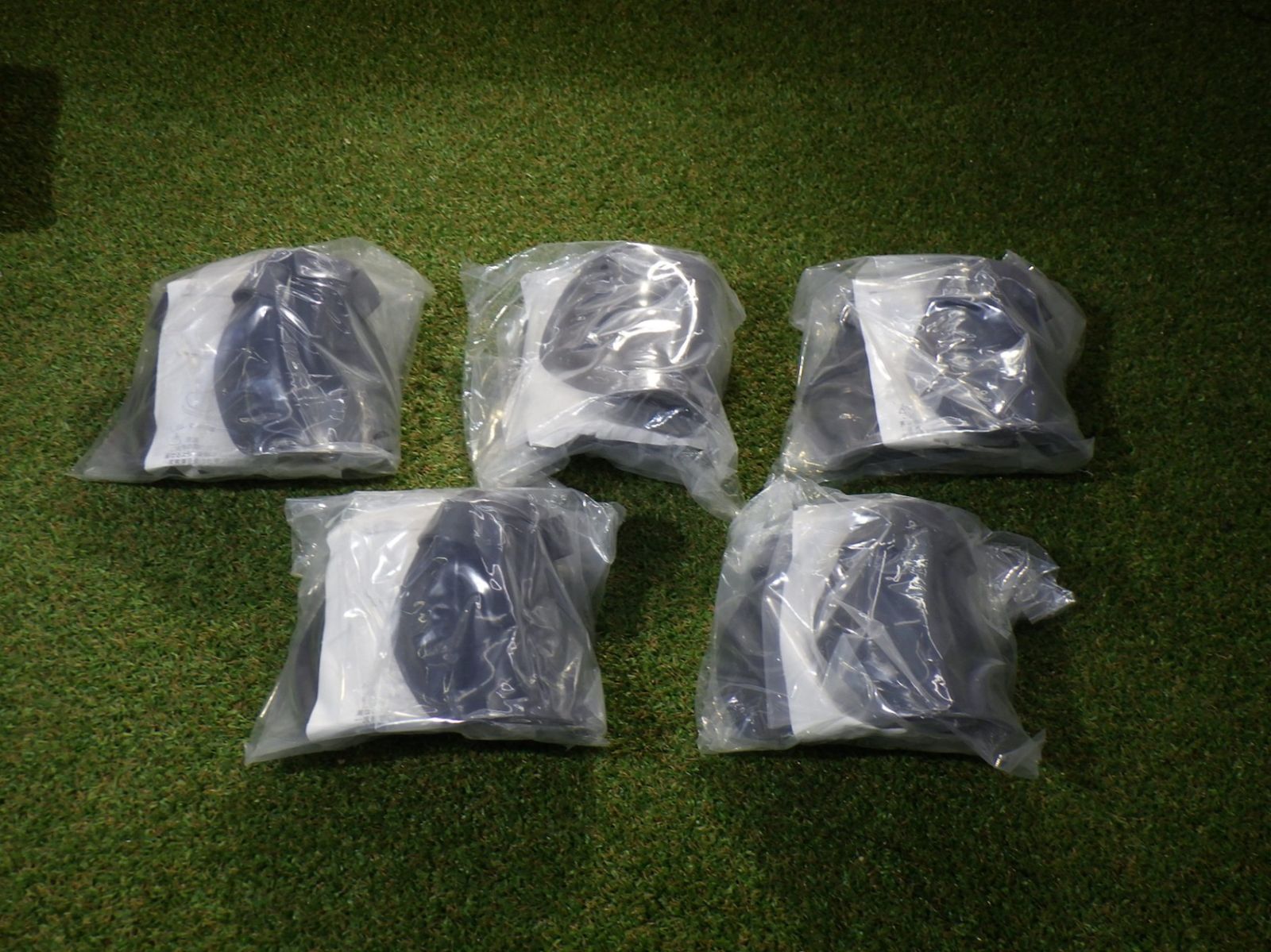 甲プロバンド付き