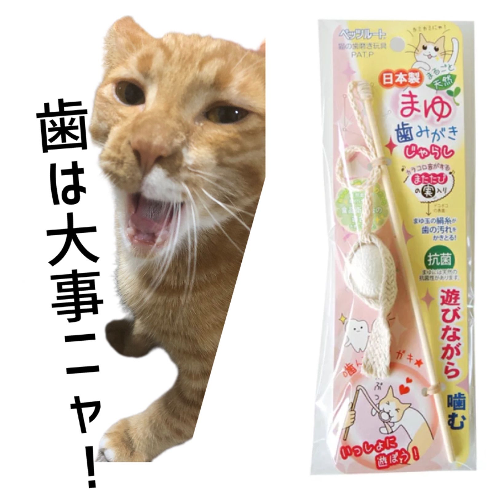 （まとめ） まゆ歯みがき じゃらし  （猫用玩具）