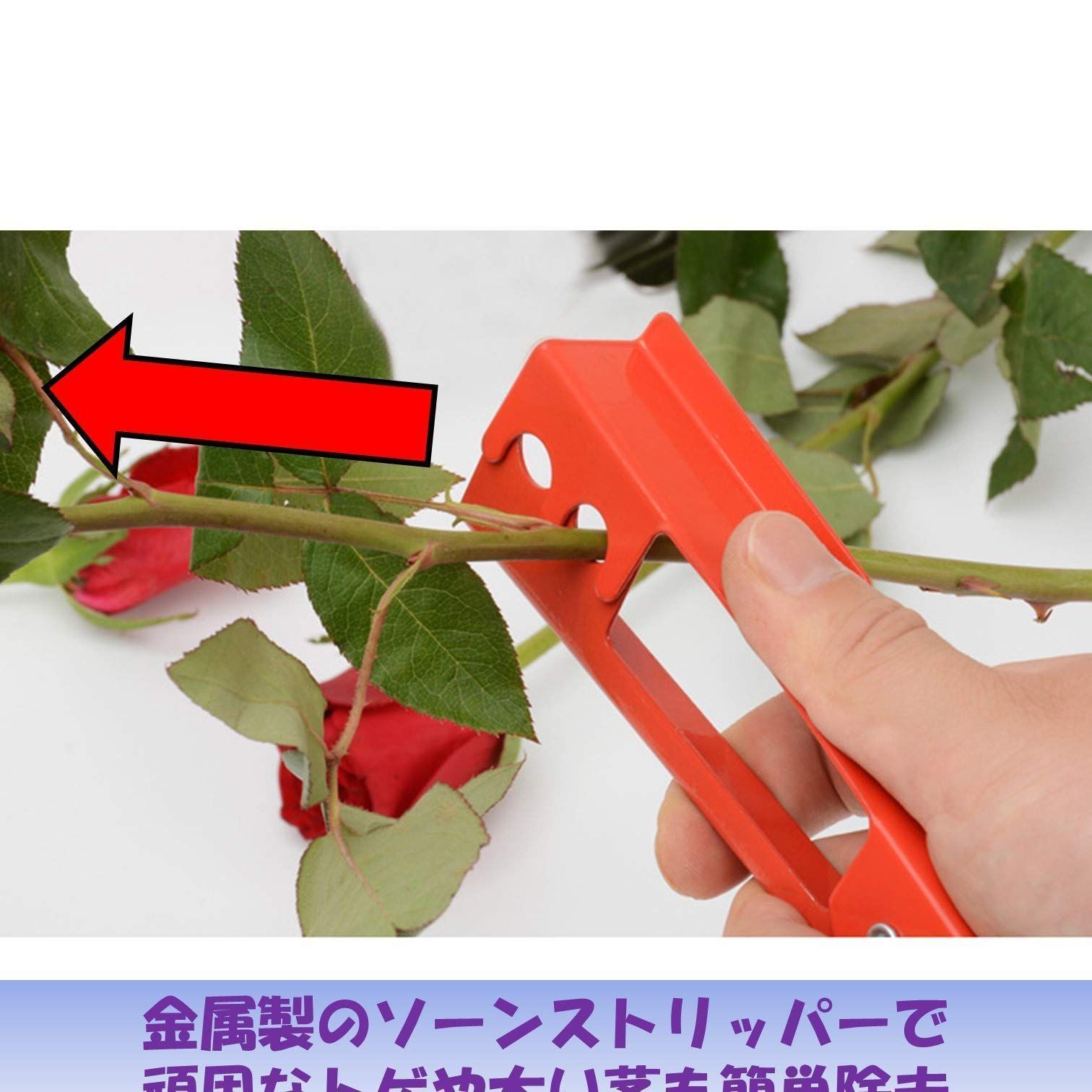 赤] 棘 トゲ 薔薇の棘取り バラトゲ取り 刺抜き バラのトゲ取り
