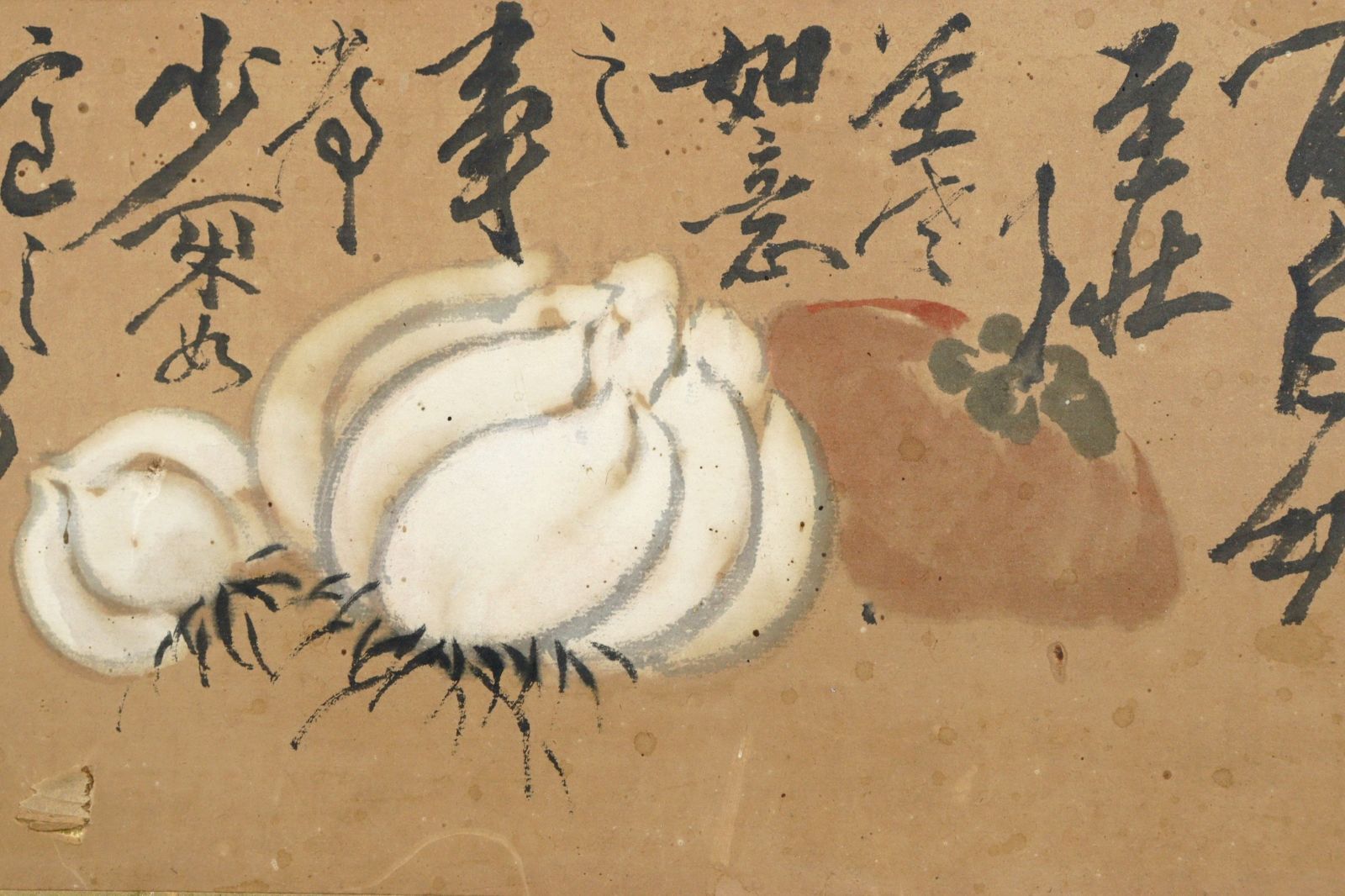 楾