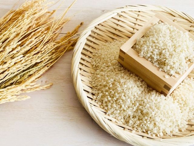 農家直送の新米(玄米)！数量限定！2025年産新米を超格安で送料