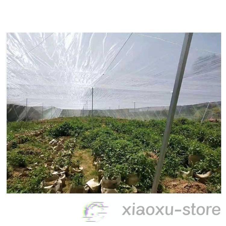 防鳥 菜園