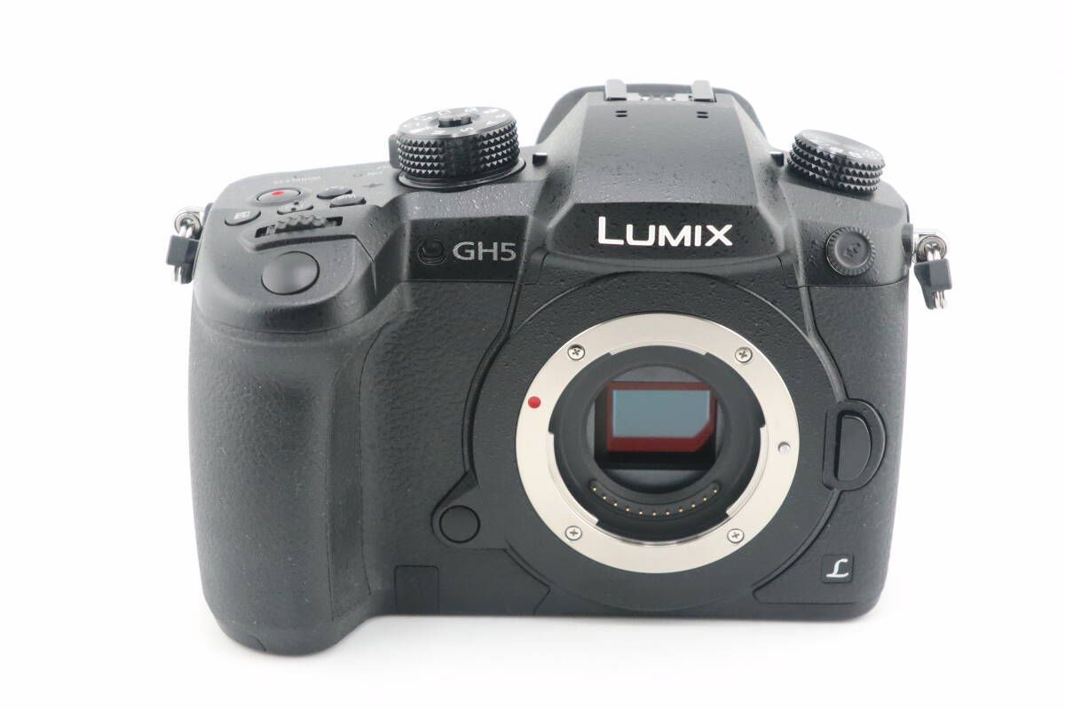 上 ショット数 パナソニック Panasonic LUMIX GH 5 RD SPM 049 ボディ I 1038＃3514