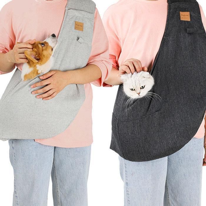 犬 猫