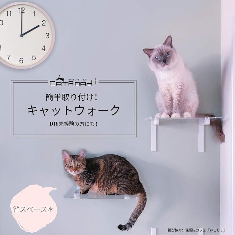 キャットステップ白（単）【アニマコレ(animacolle)】キャットロード