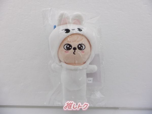 PuppyM パピーム グッズ まとめ売り SKZOO PuppyM グッズ まとめ売り StrayKids スンミン - メルカリ
