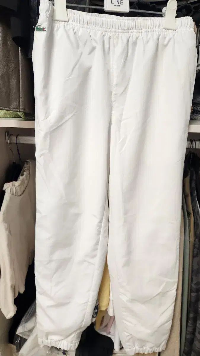 ラコステ トレーニングウェア