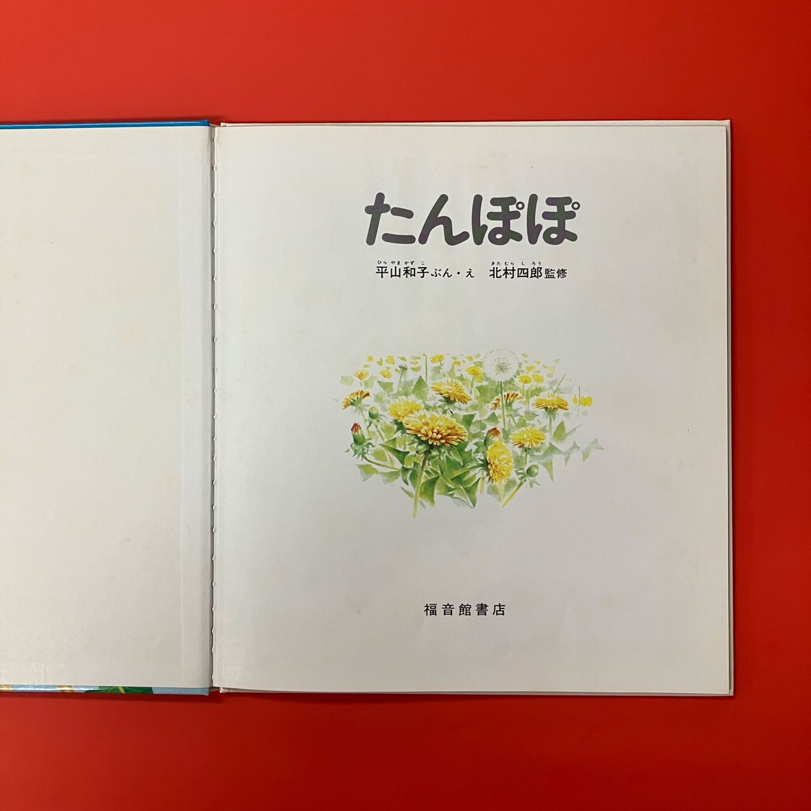 たんぽぽ ym_c14_6932 - メルカリ