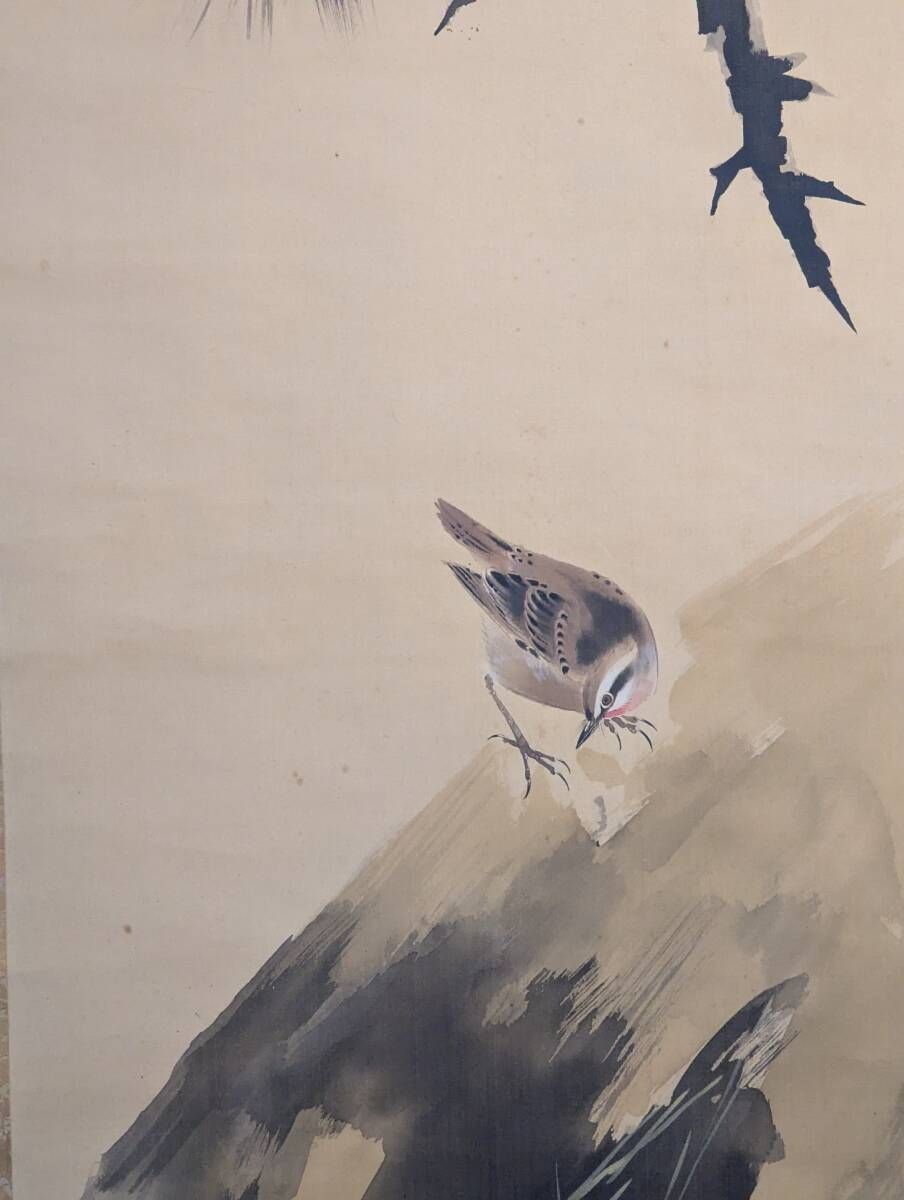 真作 掛軸 松に桜と雀図 春の趣溢れる花鳥画 和の情景 合箱入 T 109 ネックレスコレクション 日本画 