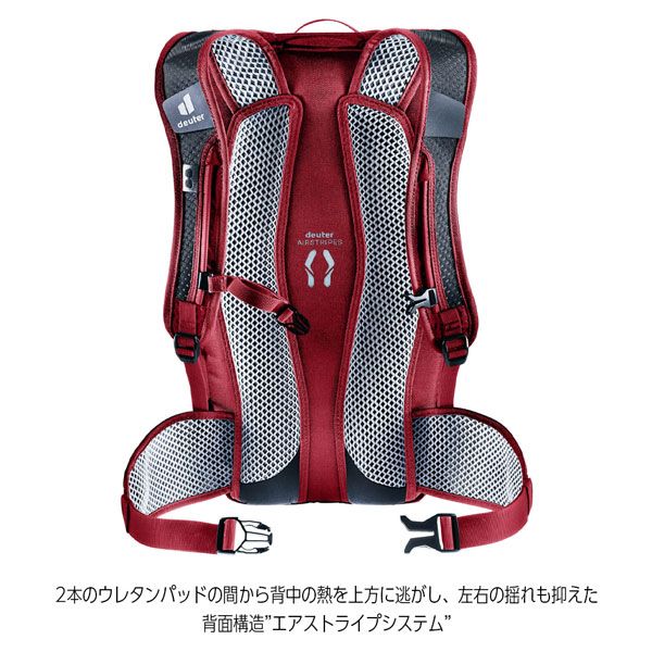 スプラウトXアイビー