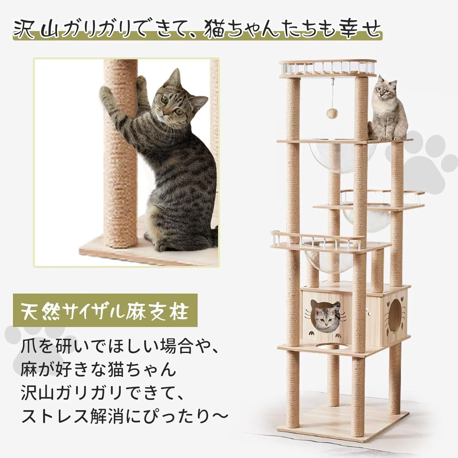 ねこハウス