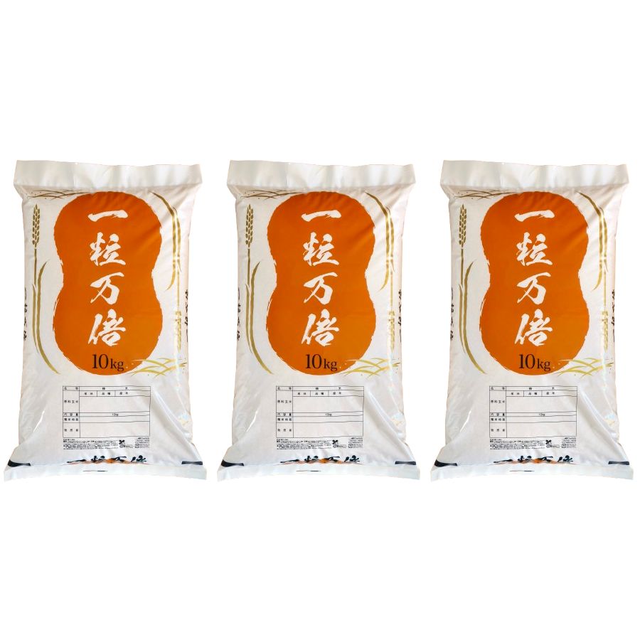 米屋直送 令和6年産 しっかり粒感オリジナルブレンド 白米 10kg 未検査米 丸増【白米】新米 産地直送！令和6年産 しっかり粒感オリジナル