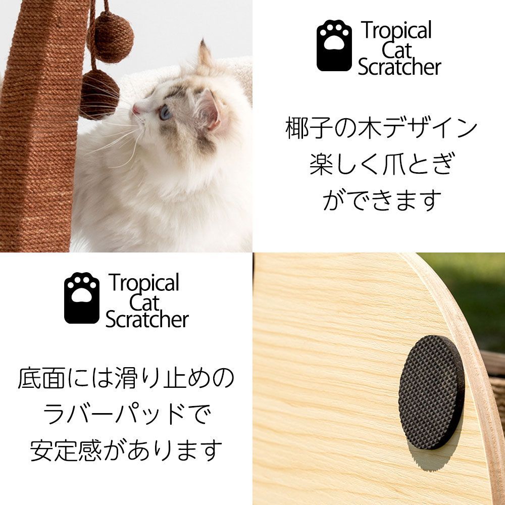 南国 猫用品