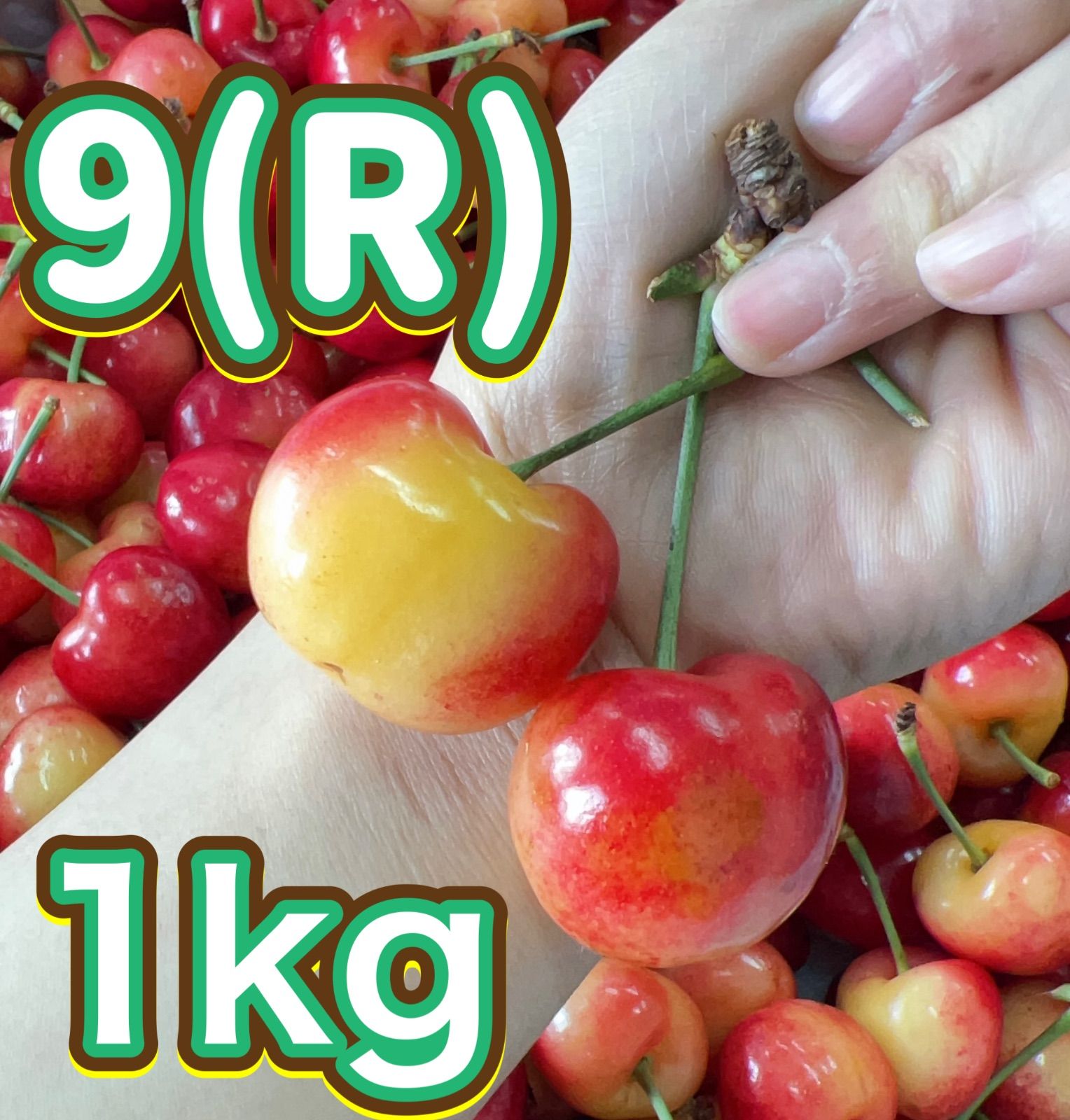 レイニアチェリー4kgクール便高級もうすぐ終わり レイニアチェリー 約4kg 産地箱 空輸 超大粒9.5row 鮮度保持袋入