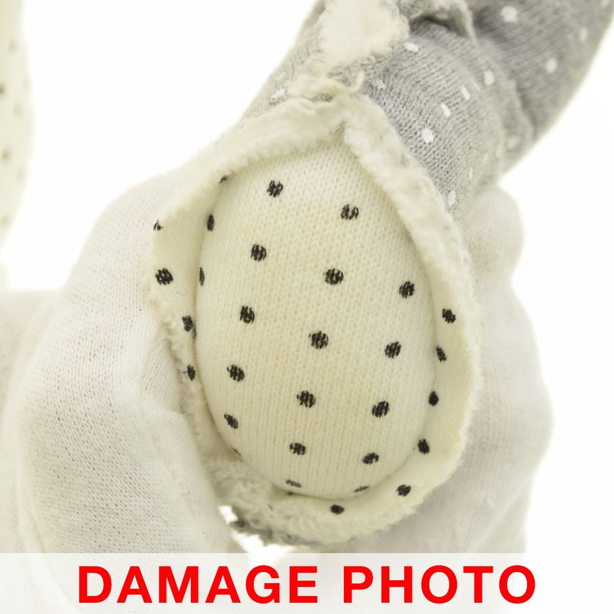 BEAR クレイジードット