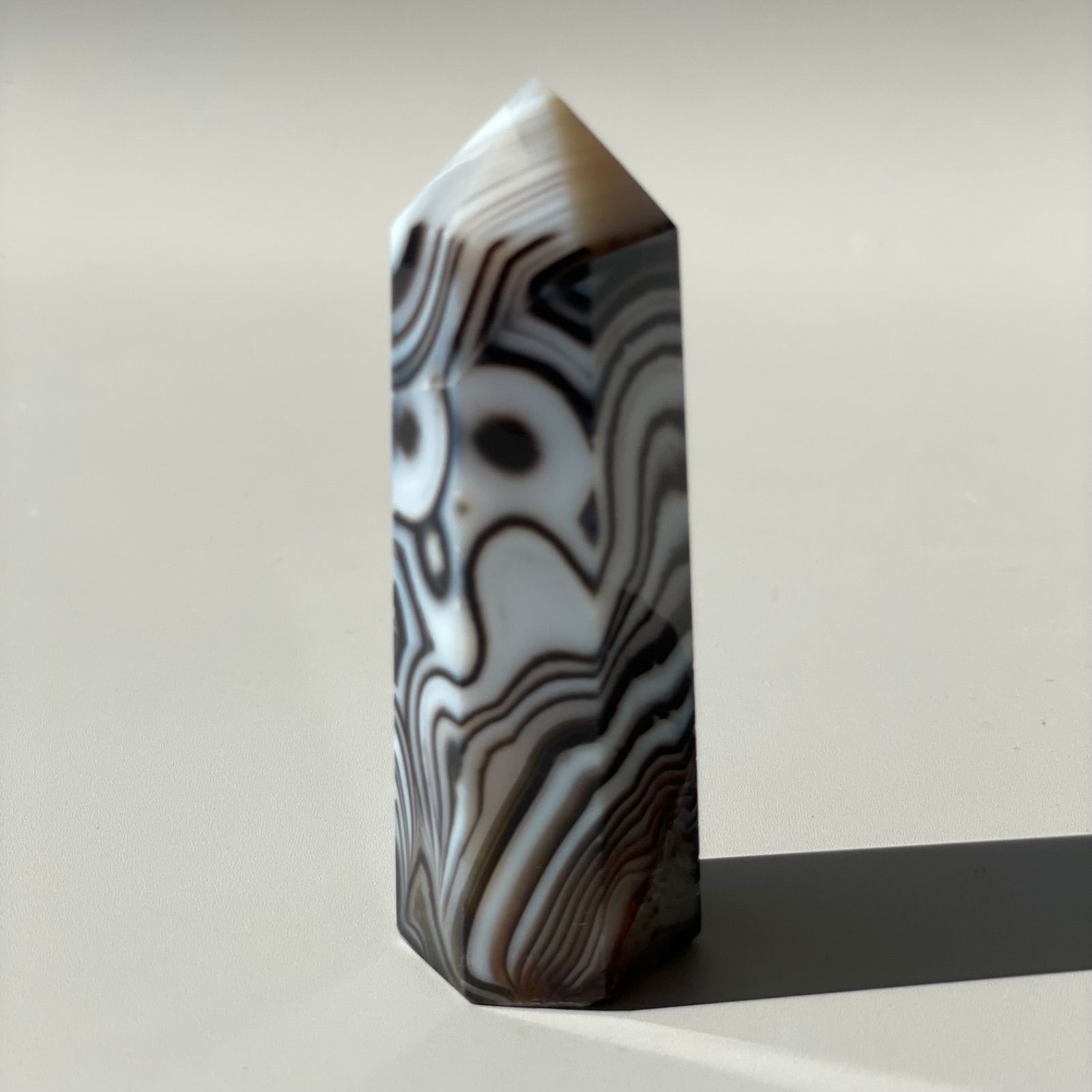 四部医系系列図鑑全集 四部医系系列図鑑全集