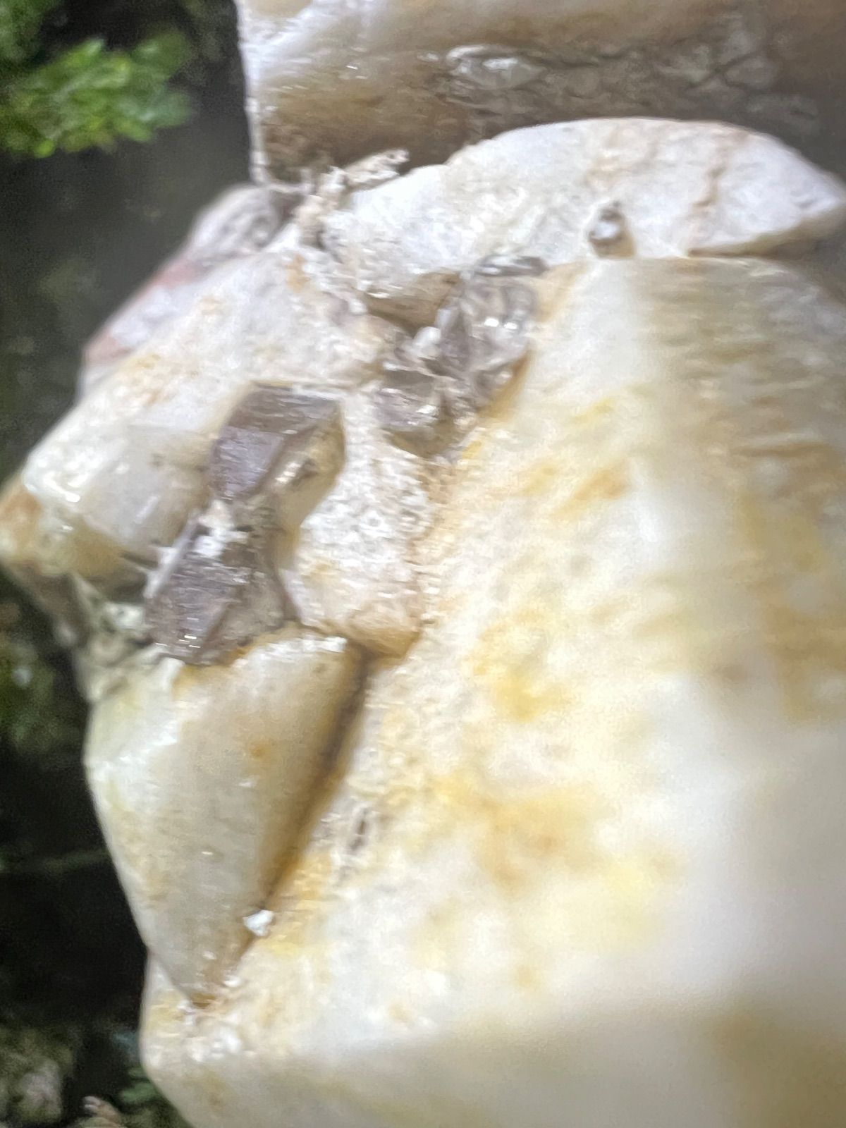 大地と祓いの調和