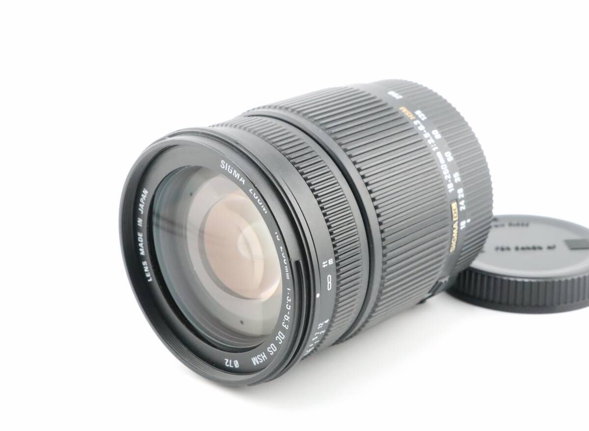 レイノックス 2.2X テレコンバージョンレンズ DCR-2025PRO(中古