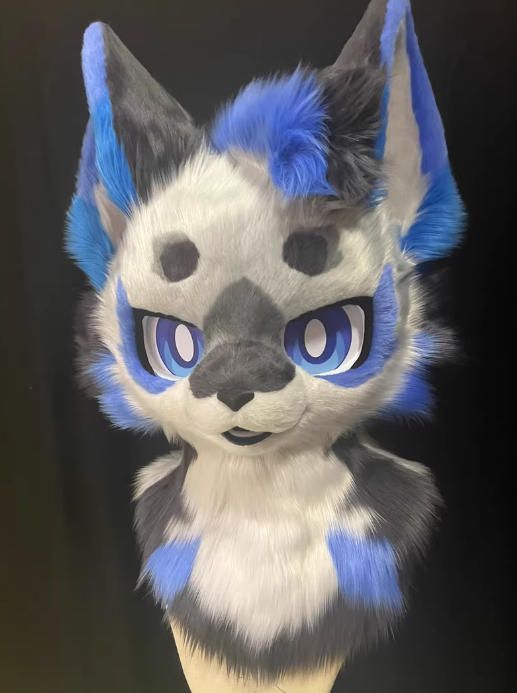 2025年新作アイテム登場。 着ぐるみヘッド 狼 NO.358 灰色 青 全頭ヘッド ケモノ ファースーツ ぬいぐるみ コスプレ コスチューム kigurumi